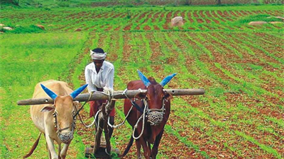 31 तक किसान बढ़ा सकते हैं कृषि कनेक्शनों का भार