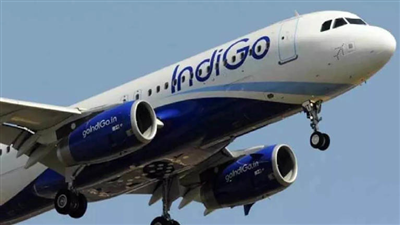 Indigo Flight: नशे की धुत्त में यात्री ने की इंडिगो का इमरजेंसी डोर खोलने की कोशिश, बेंगलुरु में CISF ने दबोचा