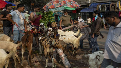 बकरीद पर लॉकडाउन में 3 दिन छूट क्यों? सुप्रीम कोर्ट ने केरल से मांगा जवाब