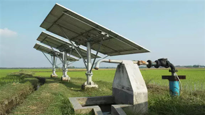 उत्तर प्रदेश में किसानों की बल्ले बल्ले, सरकार ने मुफ्त बिजली देने का किया ऐलान