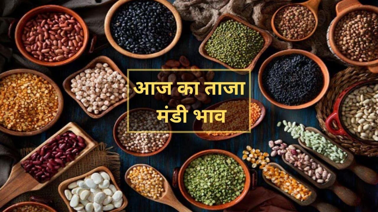 17 जून 2025 का मण्डी भाव गेहूं के दाम फिर लुढ़के! किसान परेशान, मंडियों में बढ़ा बेचैनी का माहौल