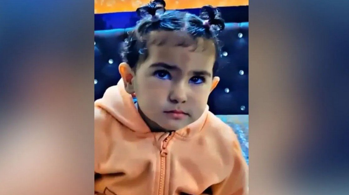 🔴 यूपी: आवारा कुत्तों का कहर 4 साल की मासूम को उठा ले गया झुंड, नोंच-नोंचकर उतारा मौत के घाट