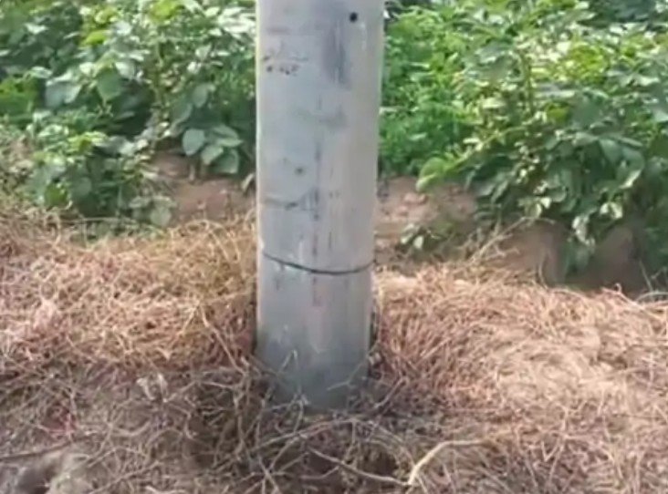 🔴 शमशाबाद में सक्रिय हुआ विद्युत खंभा … चोर गिरोह 33 केवी लाइन के विशाल पोल पर चलाई आरी